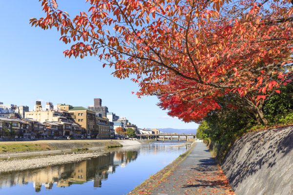 京都市の用途地域マップの検索方法や問い合わせ先について解説（規制により守られる美しい京都の風景）