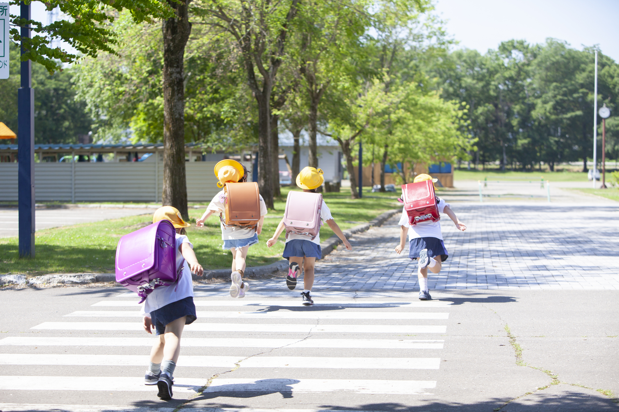 京都市の区ごとの学区や通学区域